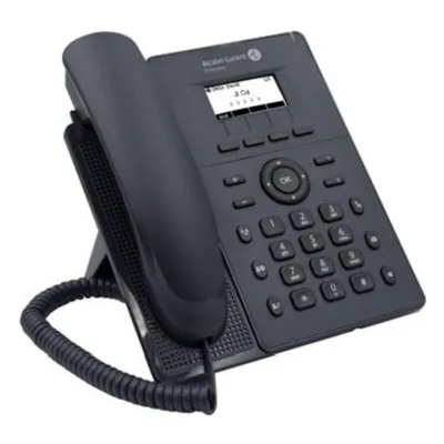 DECT-Telefon Alcatel H2P Lautsprecher 1000 Einträge Grau