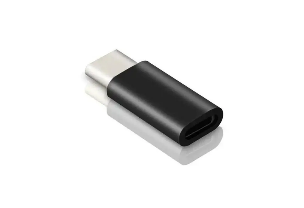 Alpha Electronics USB C zu Iphone Adapter zu USB C, 8Pin, schwarz, leicht und kompakt