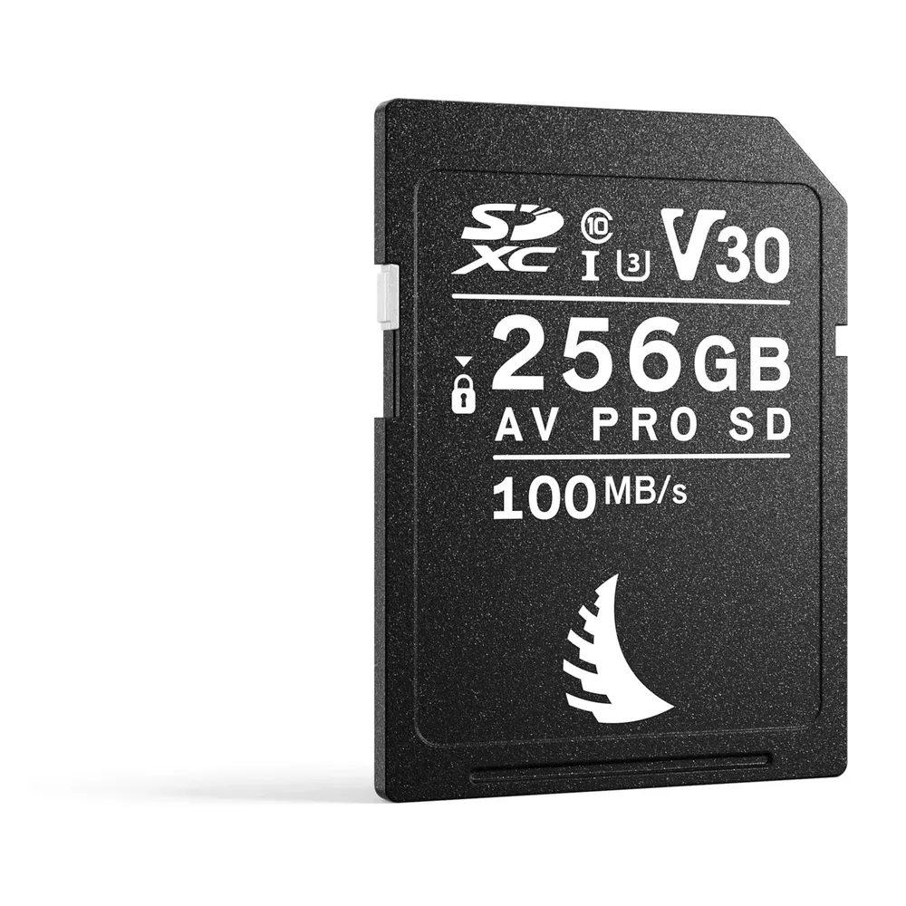 Angelbird Av Pro