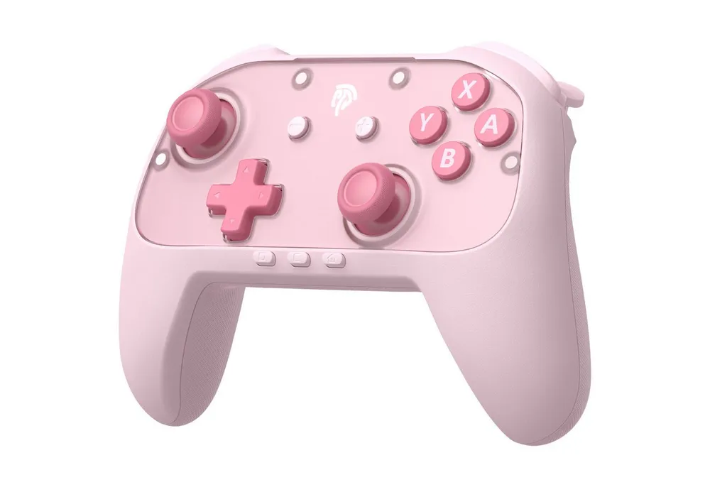 ANYSUN S10C Switch 2 Controller mit Wake-up, In-Game Chat, Controller (9-Axis Motion, Native Programmiert Funktion, Switch 2 Pro Controller mit 1000mAh Batterie &Magnetische Frontplatten)