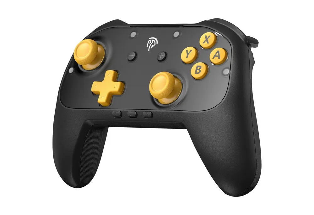 ANYSUN S10C Switch 2 Controller mit Wake-up, In-Game Chat, Controller (9-Axis Motion, Native Programmiert Funktion, Switch 2 Pro Controller mit 1000mAh Batterie &Magnetische Frontplatten)