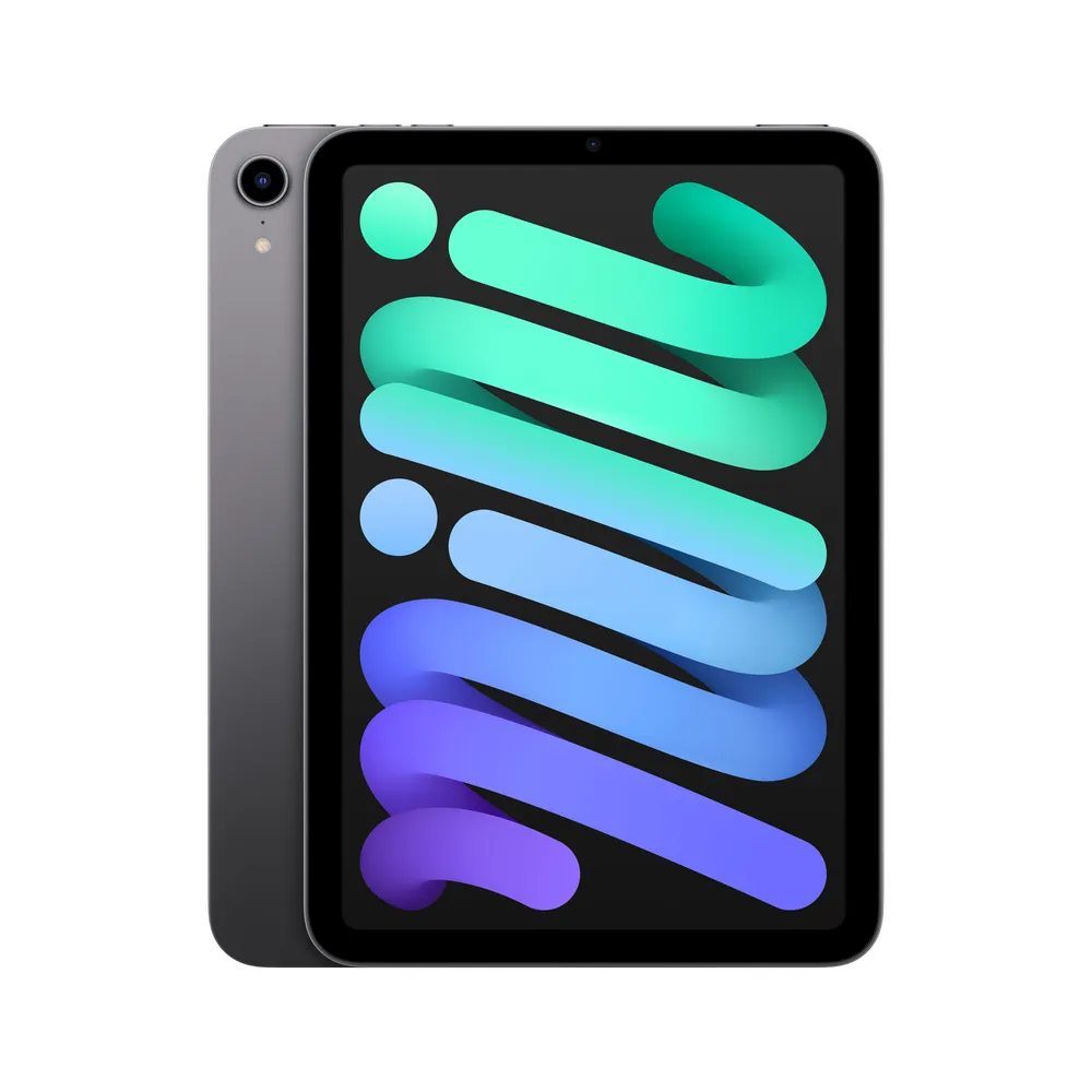 iPad mini WiFi 64 GB Space Grau