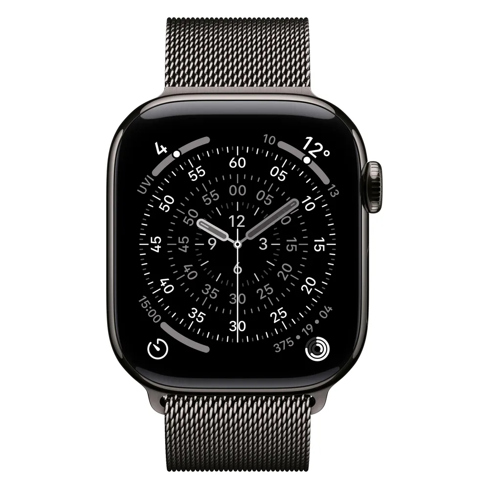 Apple Milanaise Armband, Schiefer, 42mm
