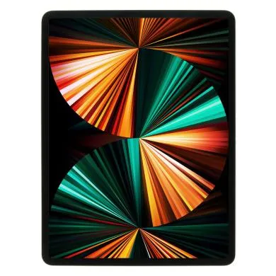 Apple iPad Pro 12,9" WiFi 2021 256GB silber