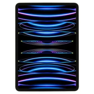 Apple iPad Pro 11" Wi-Fi + Cellular 2022 256GB space grau