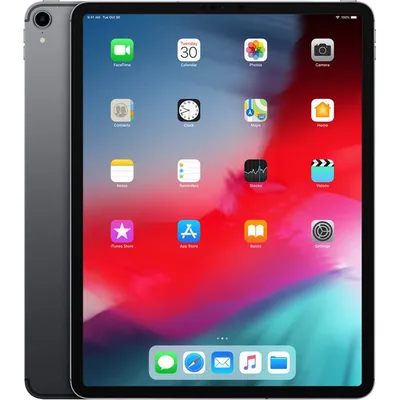Apple iPad Pro 4G LTE 256 GB 32,8 cm (12.9") 4 GB Wi-Fi 5 (802.11ac) iOS 12 Grau