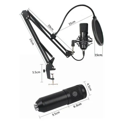 Art Condenser Microphone On A Boom