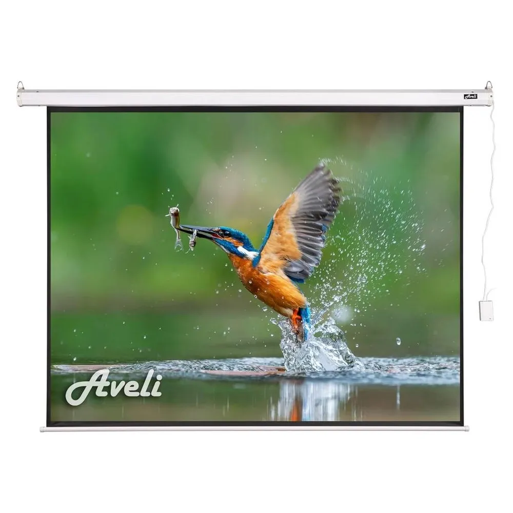 Aveli Electric projection screen, 305x229 (4:3)