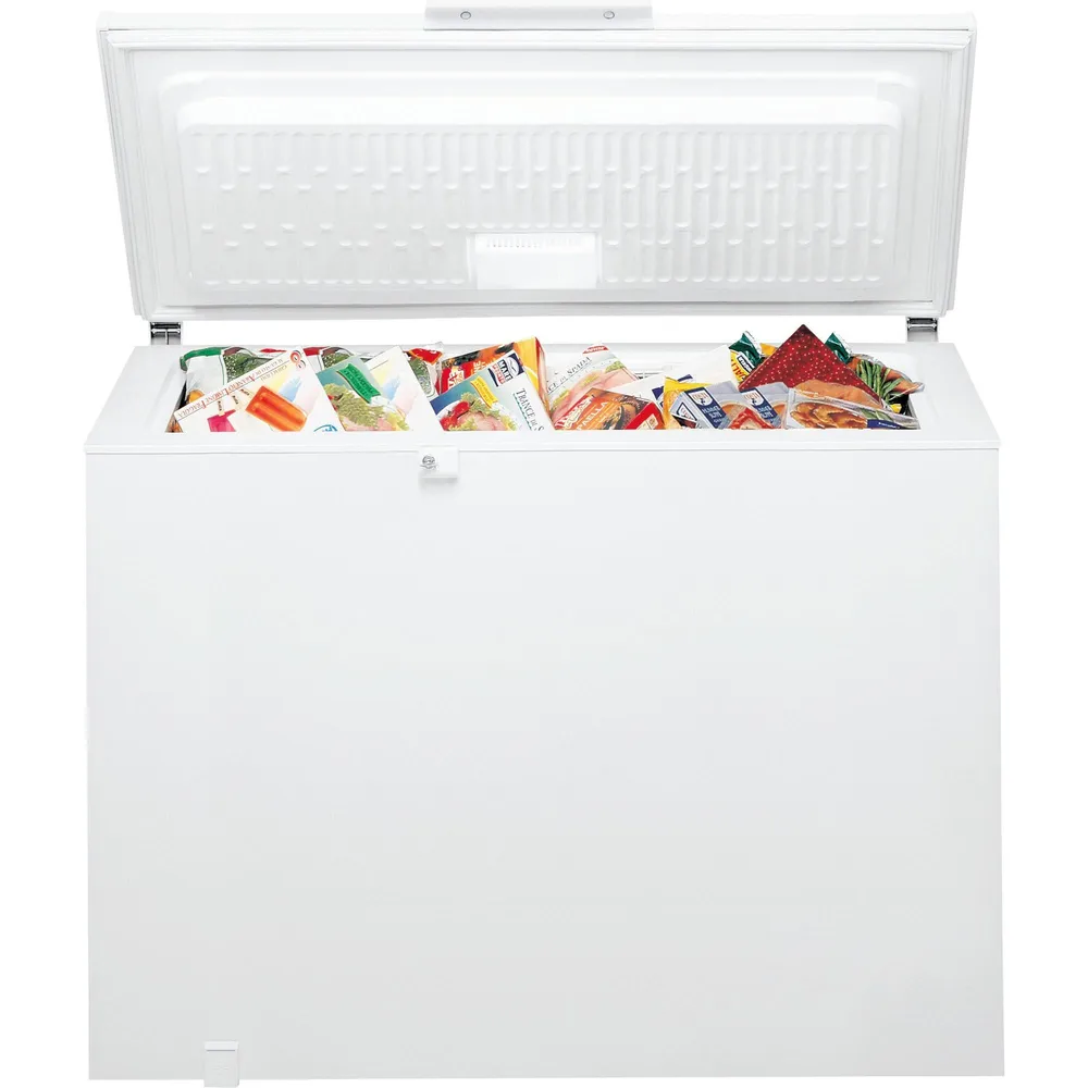 GTE ECO 222 C EX Gefriertruhe