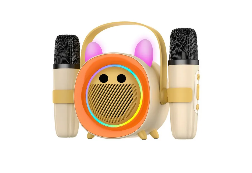 BBG Karaoke Box für Kinder mit 2 kabellosen Mikrofonen Karaoke-Maschine (5 W, Tragbar mit Bluetooth, Licht & Stimmeneffekten, Aufnahme)
