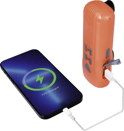 RD5035 Kurbel-Radio Outdoor LED-Taschenlampe mit FM-Radio, Powerbank, Dynamo-Kurbel, orange