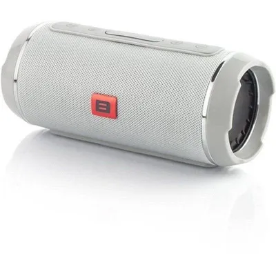 Lautsprecher Blow Bluetooth BT460 10W mit UKW-Radio und wiederaufladbarem Akku