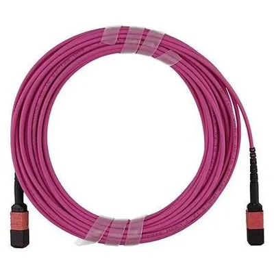 BlueOptics Dell EMC CBL-MPO24-OM4-30M kompatibles MPO-MPO Multimode OM4 Patchkabel 30 Meter