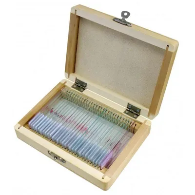 Mikroskopzubehör BRESSER 5985000 30 Stück pro Box