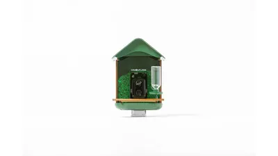 Camouflage Smart Home EZ BirdFeed, WLAN, KI