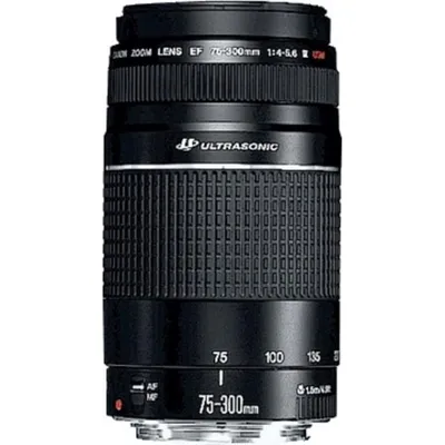 Objektiv Canon EF 75-300mm f/4-5.6 III USM Telezoom EF-Mount Schwarz