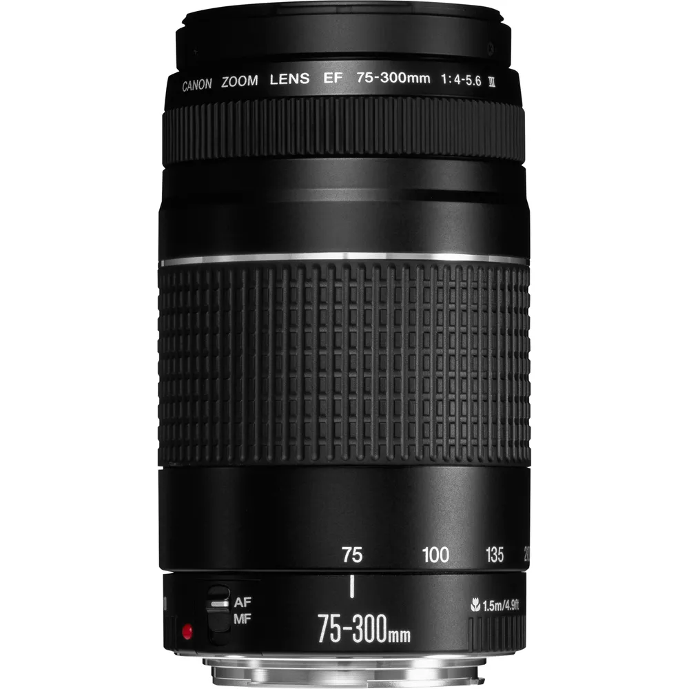 Canon EF 75-300mm f/4.0-5.6