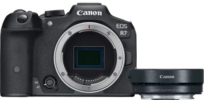 Canon EOS R7 + EF-EOS R Adapter