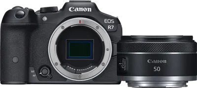 Canon EOS R7 + RF 50mm f/1.8 STM