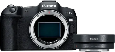 Canon EOS R8 + EF-EOS R Adapter