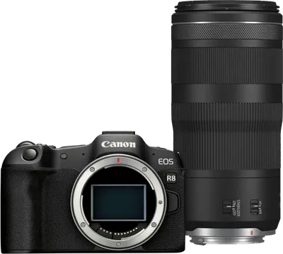 Canon EOS R8 + RF 100-400mm f/5.6-8 IS USM