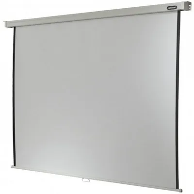 Celexon Professionelle manuelle Projektionsleinwand 109" 200x200cm