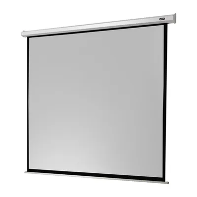 Celexon Elektrische Economy-Projektionsleinwand 240x240cm