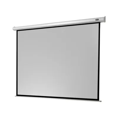 Celexon Elektrische Economy-Projektionsleinwand 240x80cm