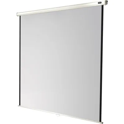 Celexon 1090252 Projektionsleinwand 1:1