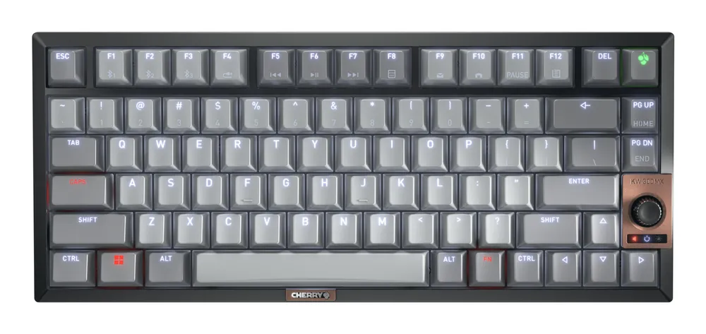 Cherry KW 300 MX | g80-3960hhaus-2 | Tastatur - 75%