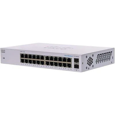 Netzwerk-Switch Cisco CBS110-24T-EU 24x GE 2x SFP Rackmount Grau