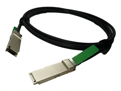 Cisco QSFP-H40G-CU0-5M= InfiniBand-Kabel 0
