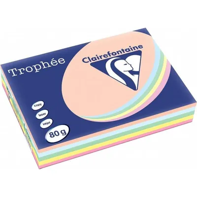 Druckerpapier Clairefontaine 1703C A4 80 g/m² 500 Blatt Mehrfarbig