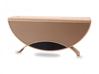 Conceptronic APOLLYON01GL Tragbarer-/Partylautsprecher Gold 10 W