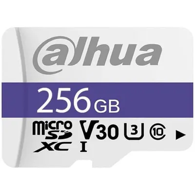 Dahua Technology P100 MicroSDXC-Speicherkarte 256 GB UHS-I Klasse 10