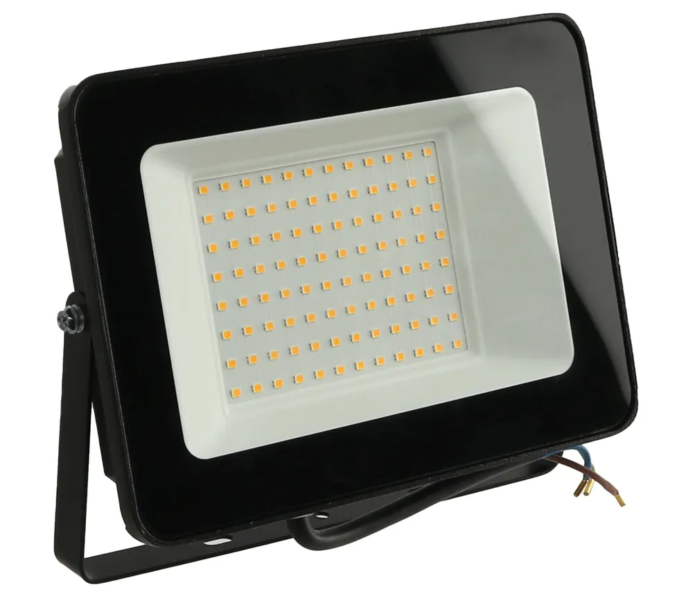 DAYLITE LED-Fluter LF100WW