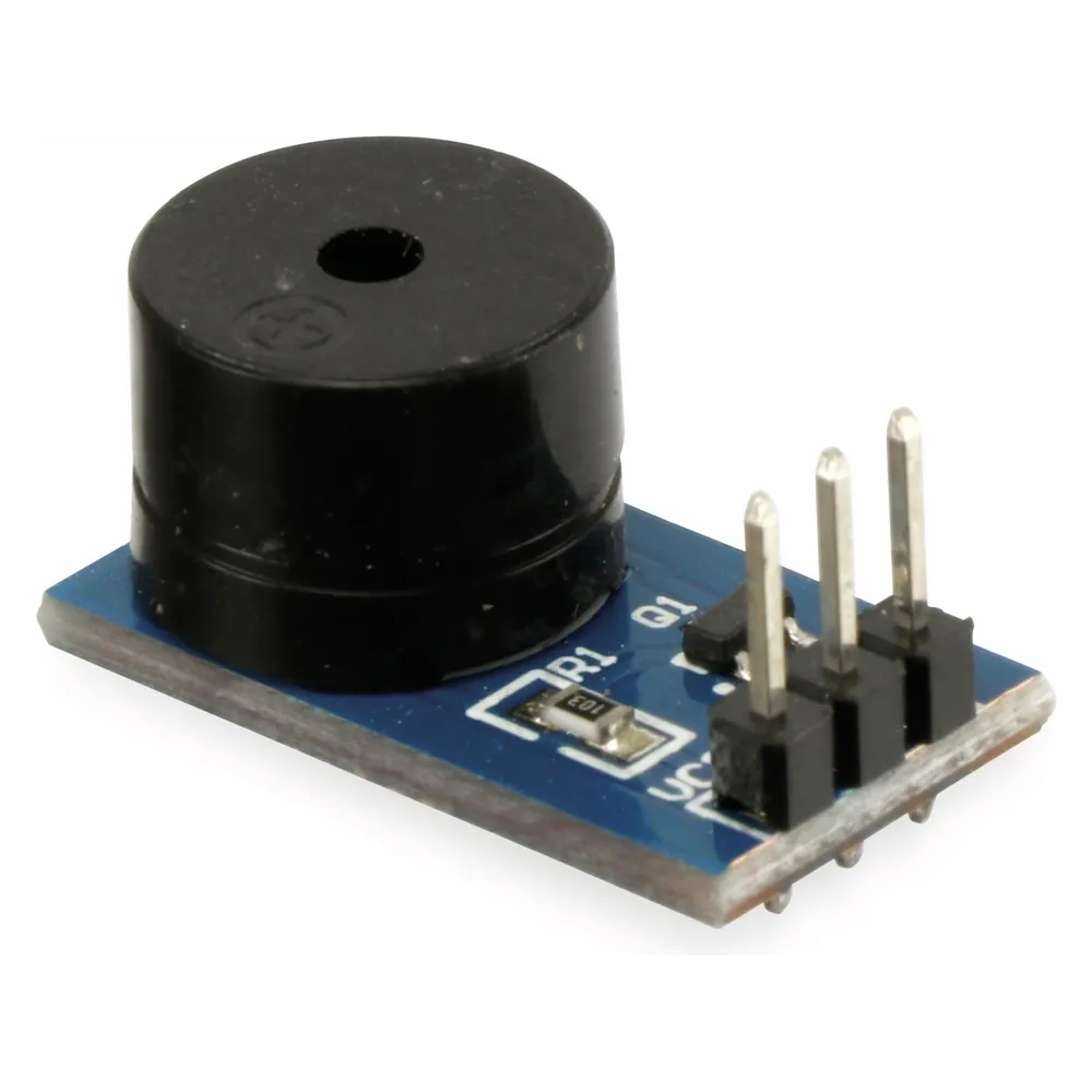 DAYPOWER Summer Modul passiv Voice-Buzzer-P