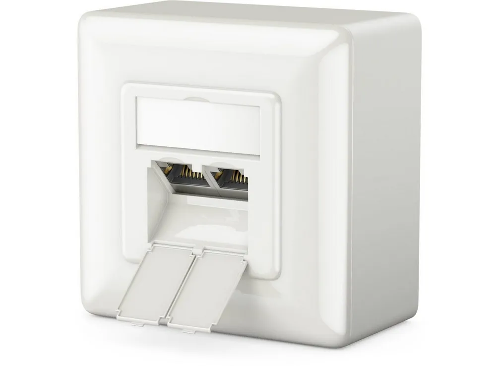 deleyCON deleyCON 1x CAT6a Netzwerkdose 2x RJ45 Port Geschirmt Aufputz Netzwerk-Adapter