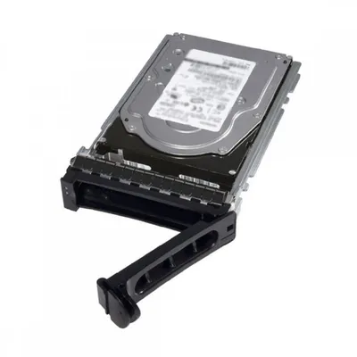 DELL 400-ATJJ Interne Festplatte 1 TB 7200 RPM 3.5" Serial ATA III