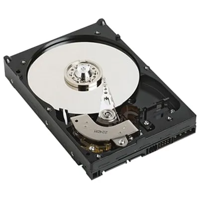 DELL 400-BJRV Interne Festplatte 7200 RPM 3.5" Serial ATA III