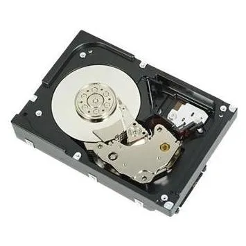 Dell Festplatte 1 TB (1 TB, 3.5")