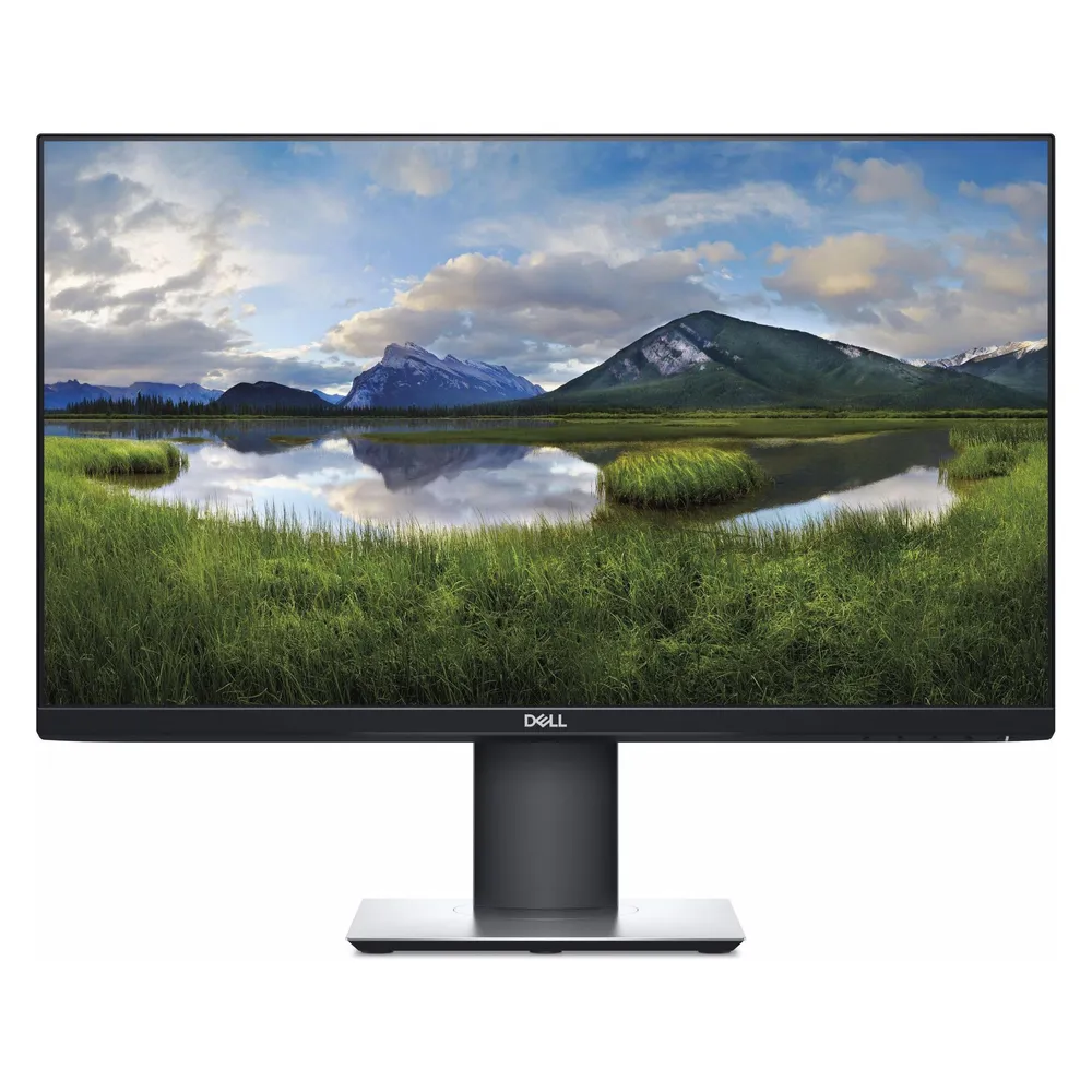 Dell P2421D