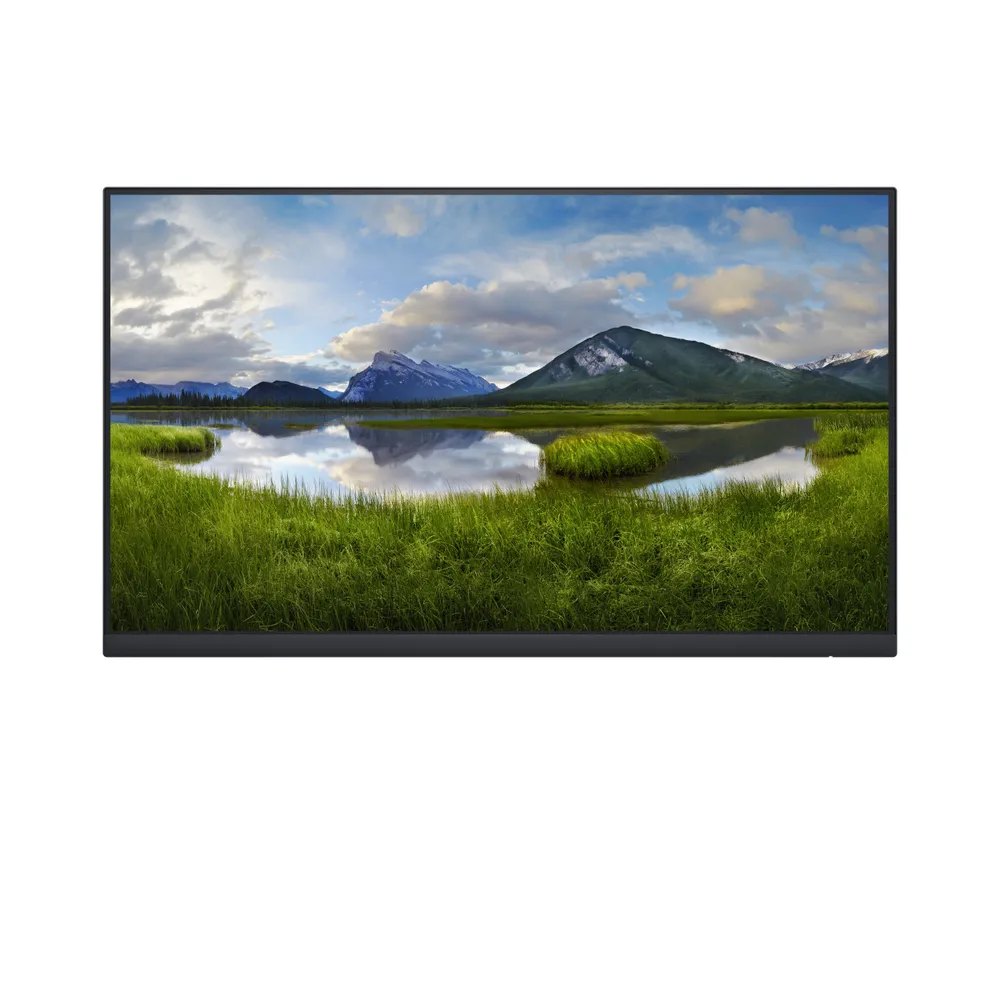 DELL P Series P2422H_WOST 60