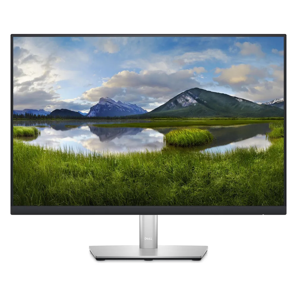 Dell P2423
