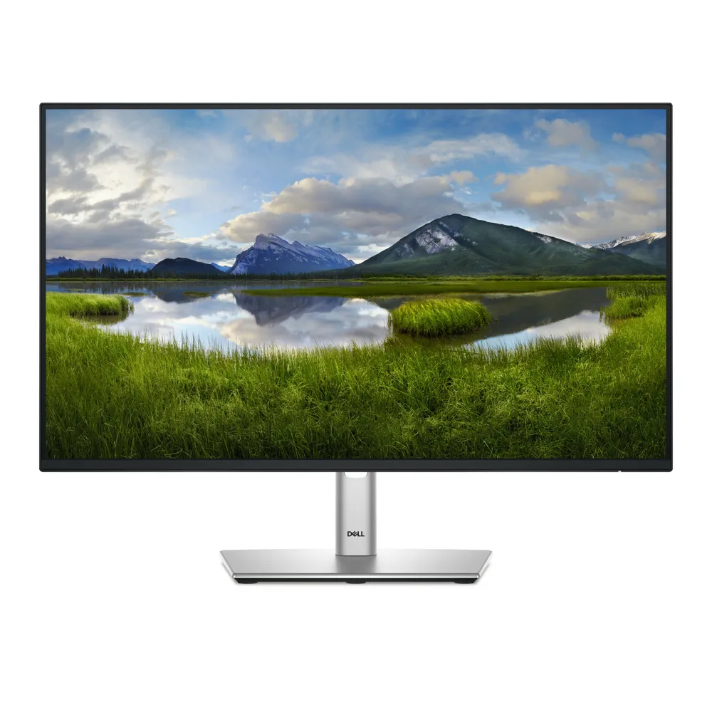 Dell P2425H Monitor 60