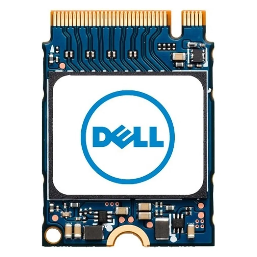 Dell SSDR 256G P34 30S3 BG4