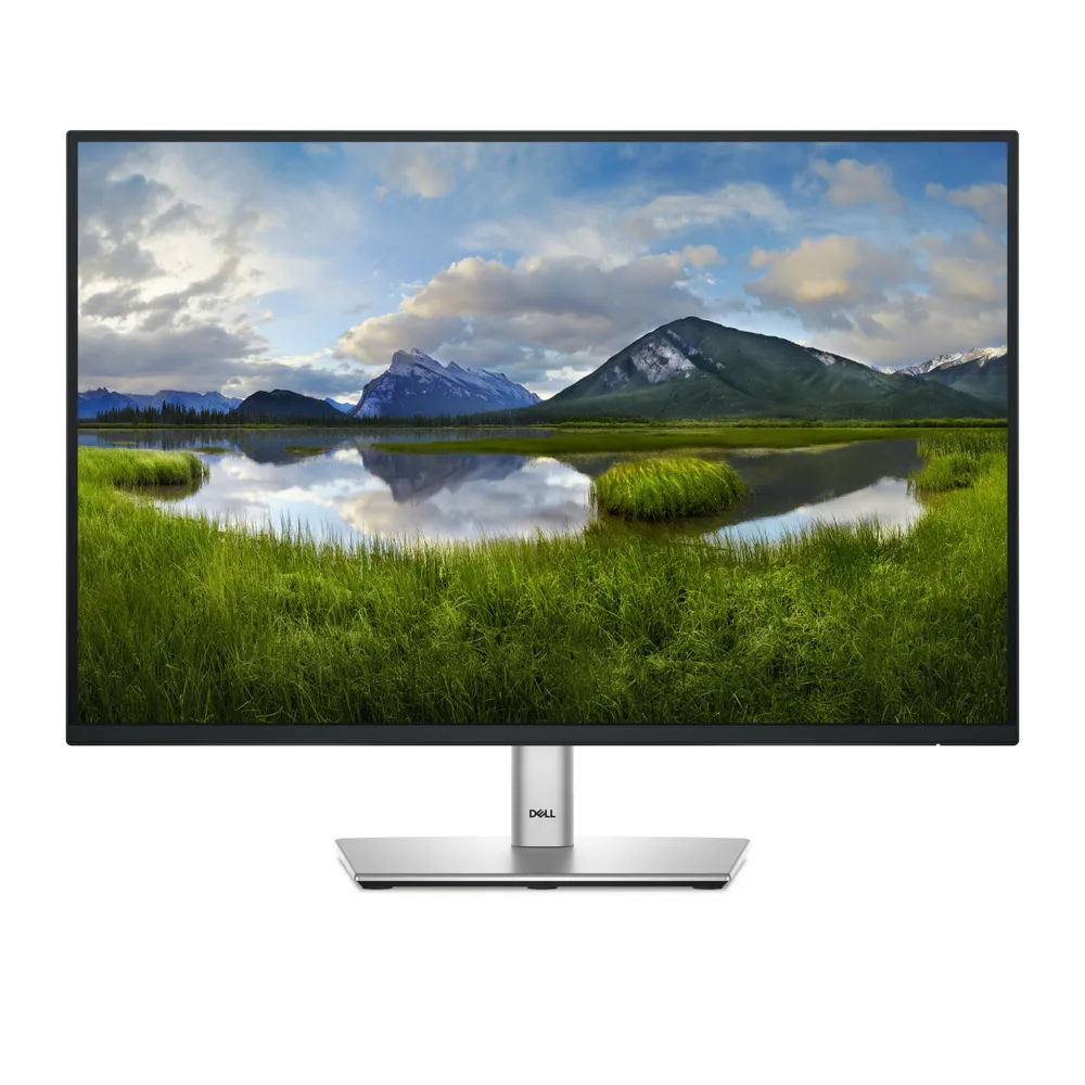 Monitor Dell Pro Plus P2425E 24,1" WUXGA 100Hz IPS 8ms VESA USB-C
