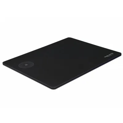 Alfombrade Delock 12595 Schwarz 342x283 mm Integriertes Ladegerät
