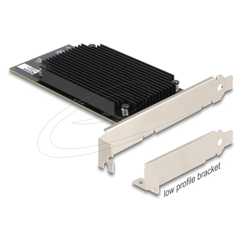 Tarjeta de Red Delock 31416 PCIe 3.0 Low Profile 52 TOPS AI Hailo-8