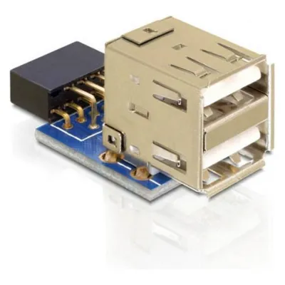 Adapter DeLOCK 1 x 9-pin 2.54 mm zu 2 x USB 2.0-A Schwarz